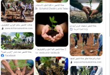 Photo of خطة خضراء لمواجهة آثار الحرائق