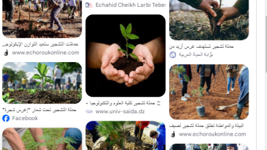 Photo of خطة خضراء لمواجهة آثار الحرائق