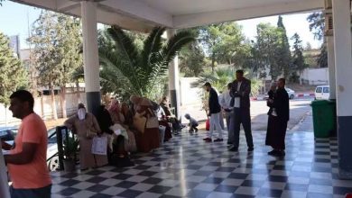 Photo of سعيدة: فحوصات متخصصة في جراحة المخ والأعصاب